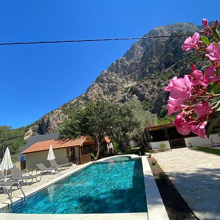 Kidrak Otel Montenegro-1 ฟารัลยา ภายนอก รูปภาพ