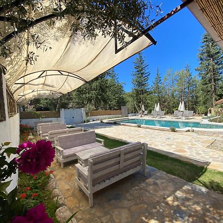 Kidrak Otel Montenegro-1 ฟารัลยา ภายนอก รูปภาพ